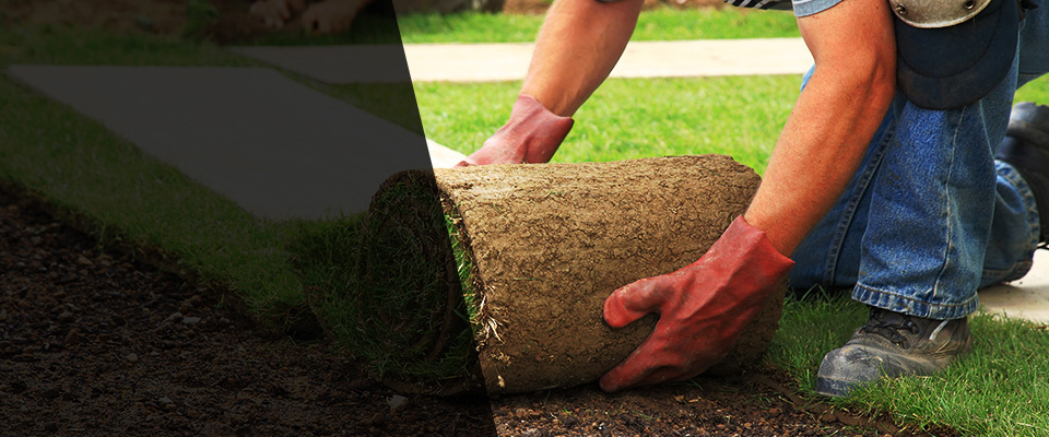 Hill Afb Landscapers